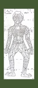 เส้นประธานสิบ